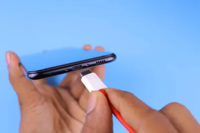 بيتريبلز كازينو تطبيق الهاتف المحمول